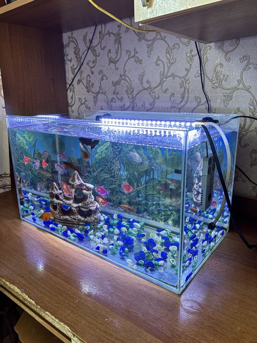 Продается аквариум