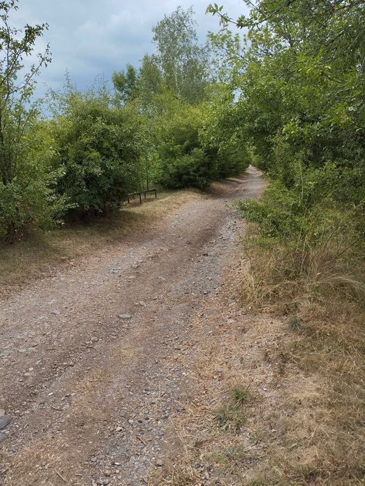 Продава се Парцел в Банкя - 1572 кв.м за 172 €/кв.м - Снимка #6