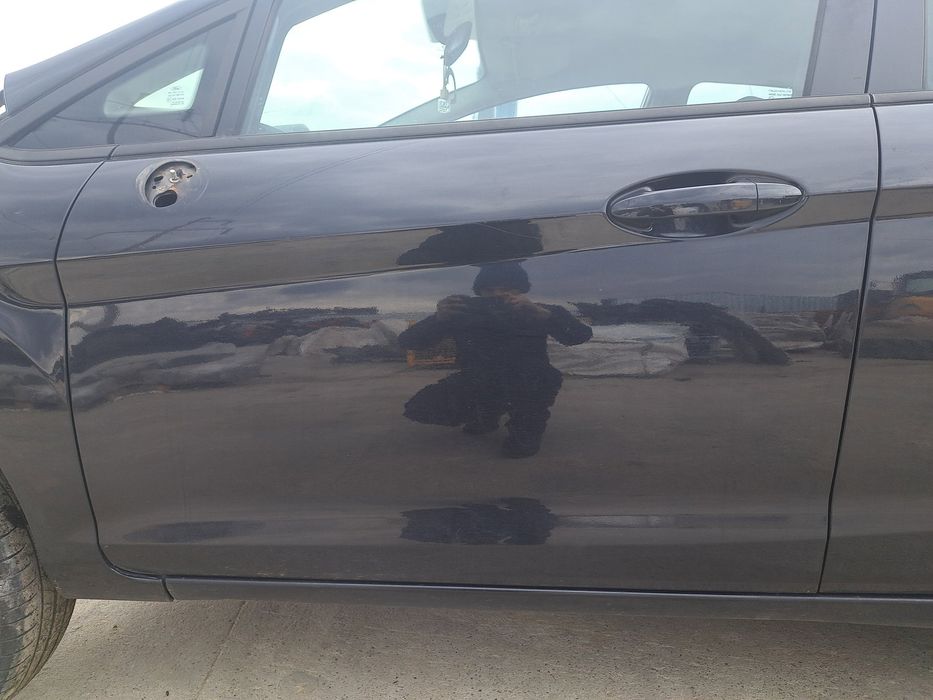 Usa stanga fata Ford Fiesta 6 [Fabr 2008-2019] Panther Black Metal