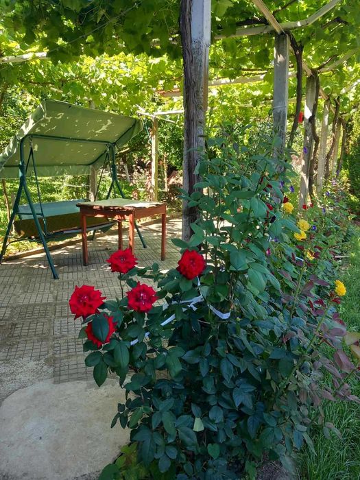 Продава се Къща в с. Бистра, Област Търговище - 260 кв.м за 294 €/кв.м - Снимка #10