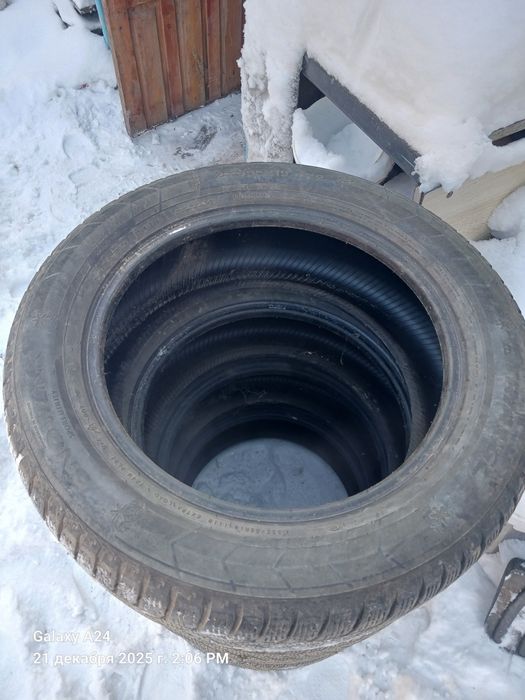 Продам ризину зимние