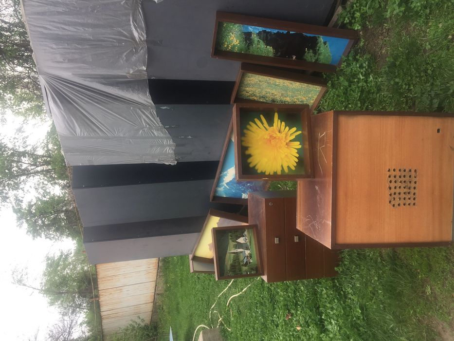 Продам Картины, горы!