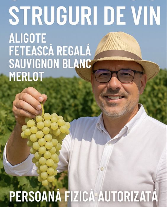 Vand struguri de vin Bacau