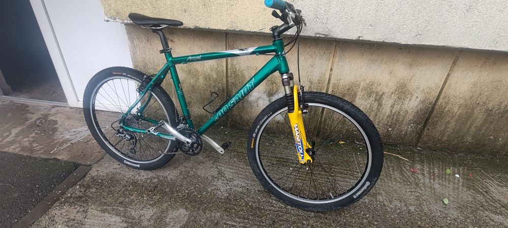 Bicicleta mountain bike