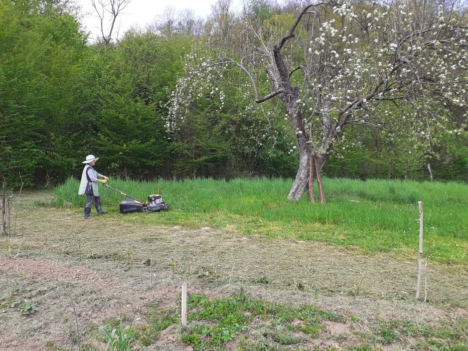 Продавам 1010 кв. м. в регулация и 2 декара зем. земя в с. Враниловци.