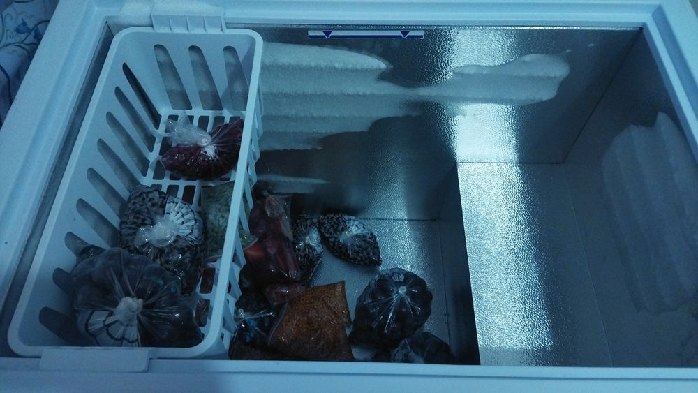 Продам морозилку Бирюса