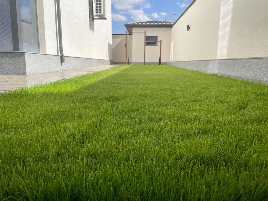 Газон автополив полив