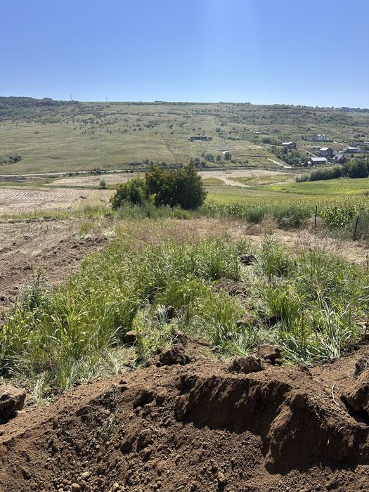 Buldoexcavator Iasi de închiriat