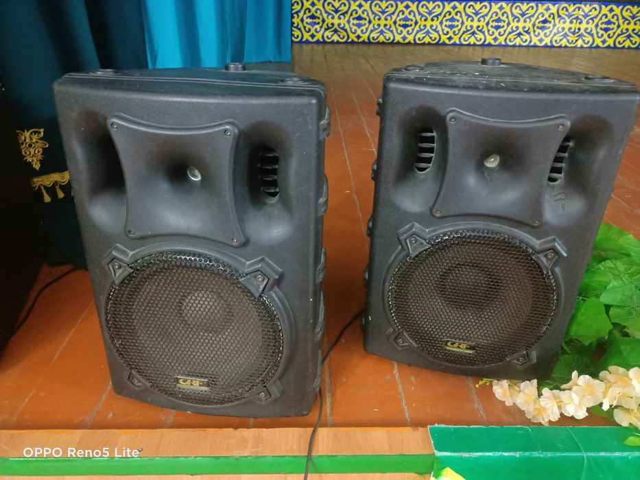 Калонка 300 ваттық