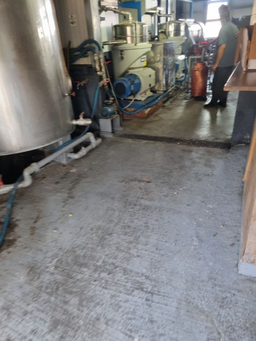 Ulei de măsline extravirgin 100% natural.