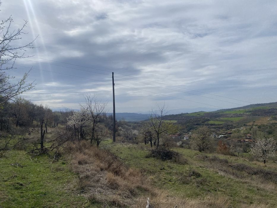 Продава се Земеделски имот в с. Блажиево, Област Кюстендил -  кв.м за 1530 €/дка - Снимка #4