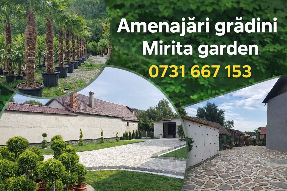 Plante Mesteacăn Tei leylandii laur englezesc