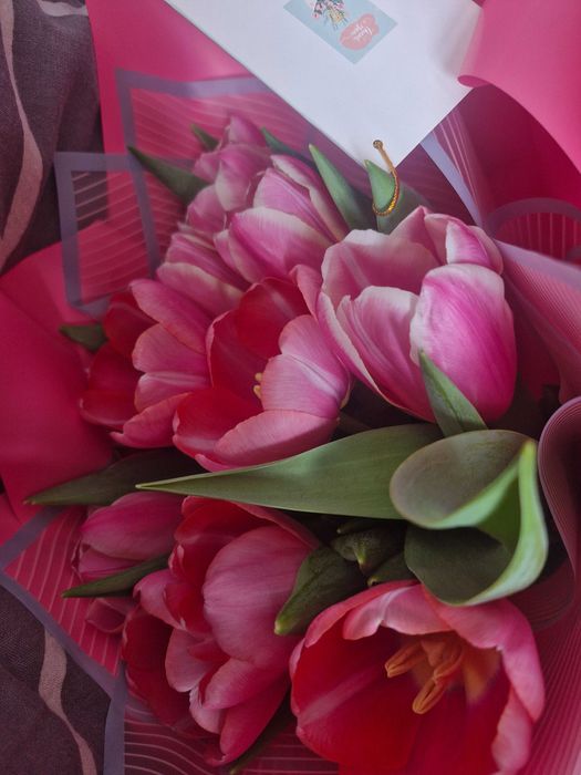 Тюльпаны розовые 11 штук