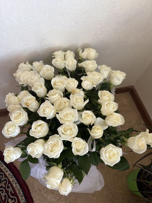 Роза гүлдері……..