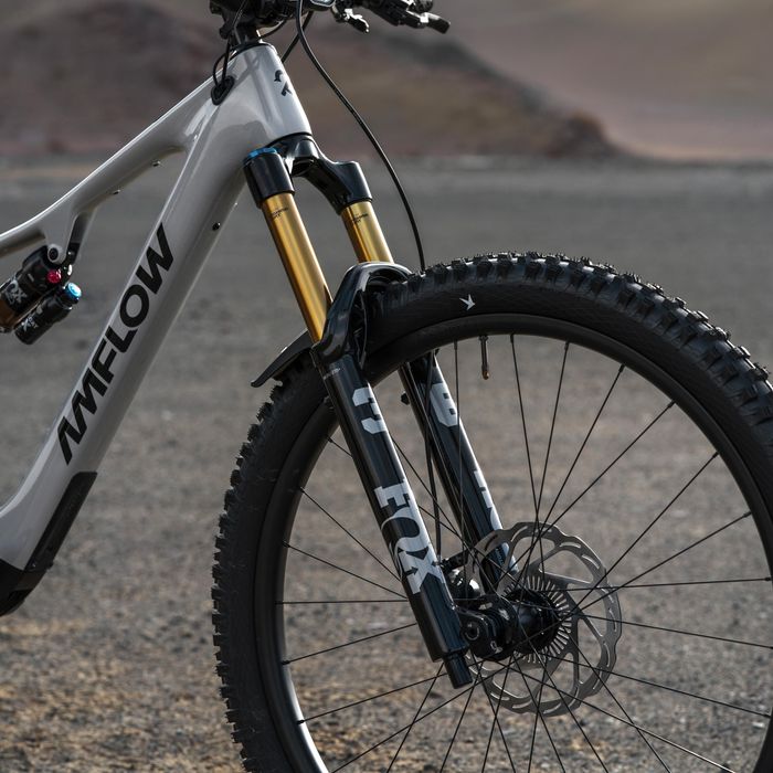 Электровелосипед Amflow PX Carbon Pro