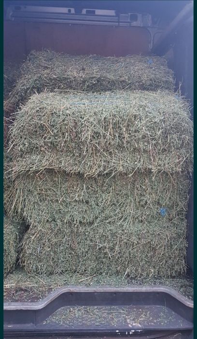 Baloti lucerna 2025 coasa 2 și 3