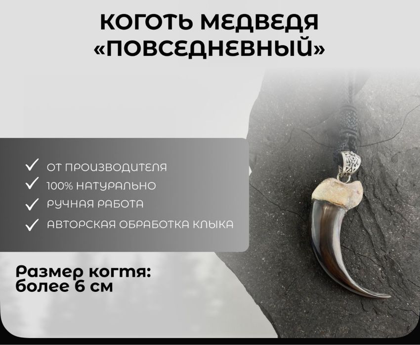 Продам Коготь медведя