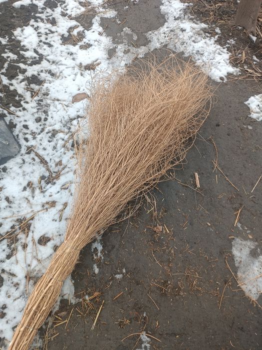 Hovli shipirgi sotiladi