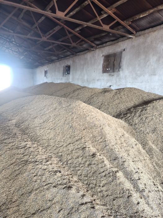 Продам ячмень с под комбайна