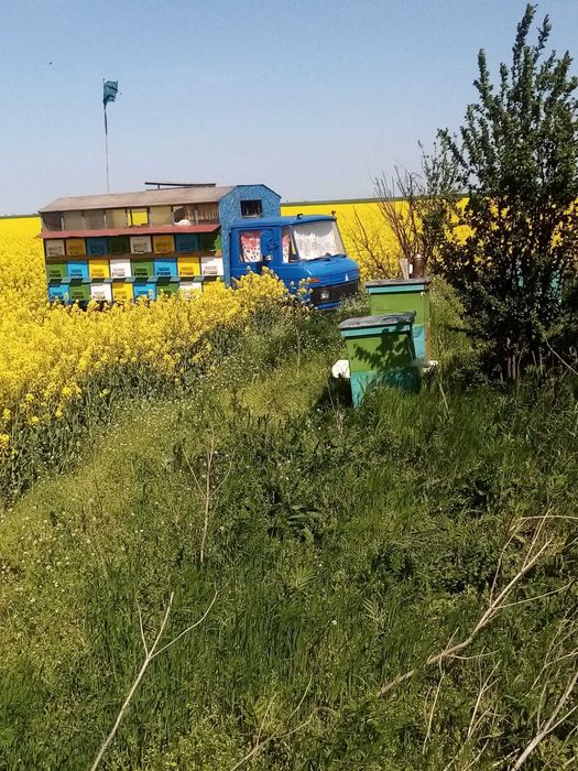 Se vinde pavilion apicol