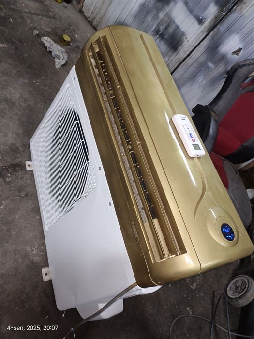 Chigo 12 talik kanditsaner