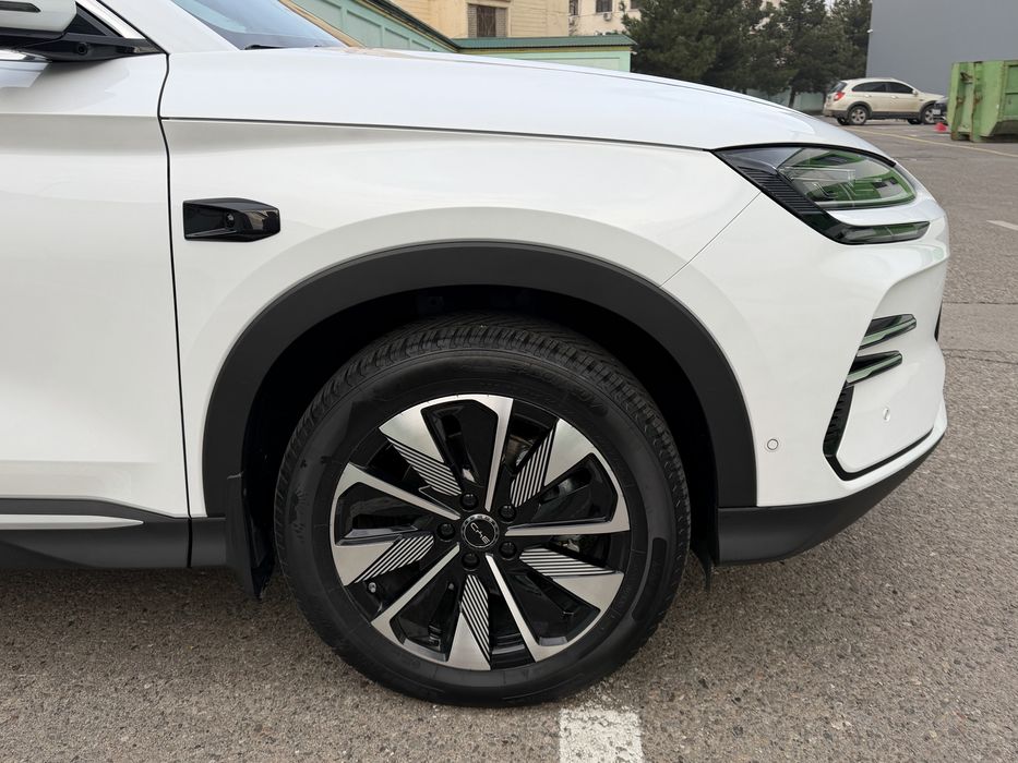 BYD chempion champion Smart 2025