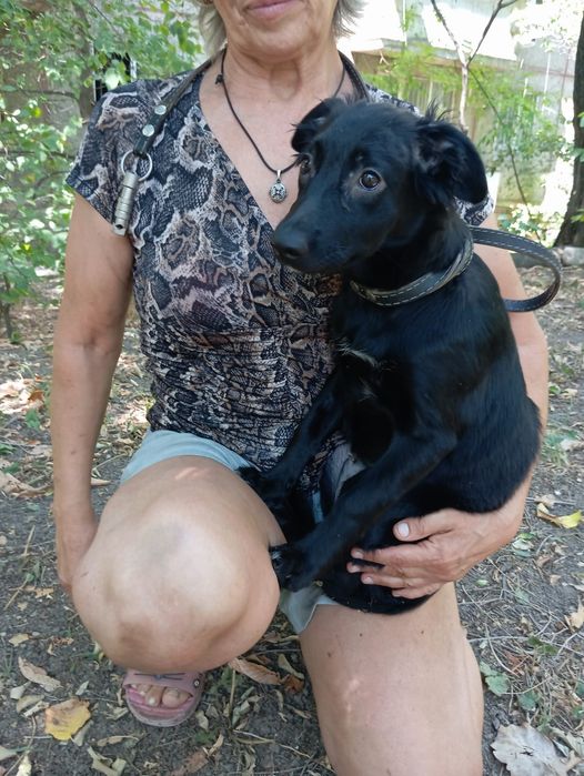 Звоночек Стерильная девочка