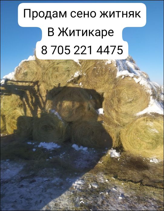 Продам сено житняк