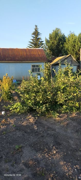 Продам дачу, речпорт.