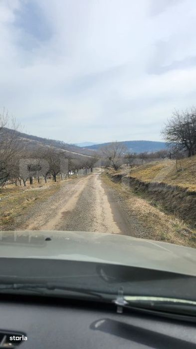 Teren extravilan, 20 de arii, Valea Rusului, pretabil pentru investiti