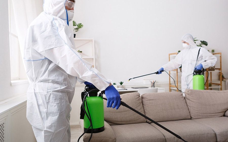 Дезинфекция hamma Hashoratlarga Qarshi