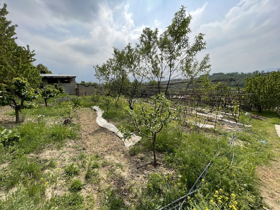 Паркент туман Сукок кишлогида 5 соток ер участкаси сотилади