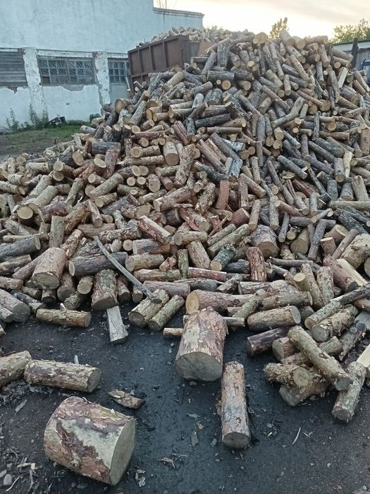 Продам дрова сосновые