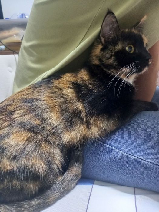 Отдам в хорошие руки