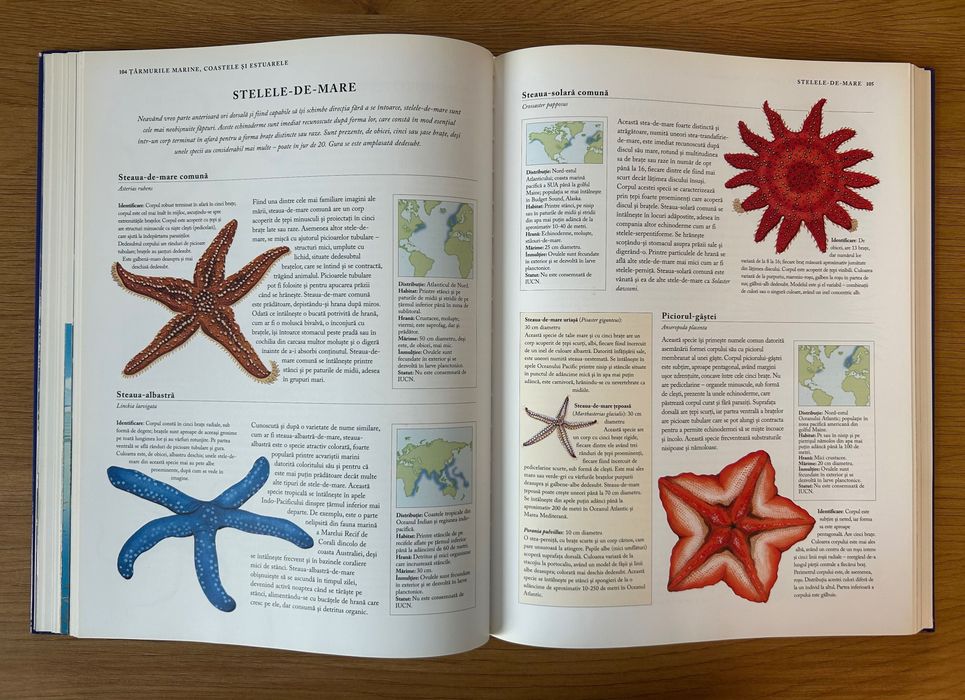 Peștii și creaturile marine – Enciclopedie ilustrată a lumii subacvatice (Editura Aquila)