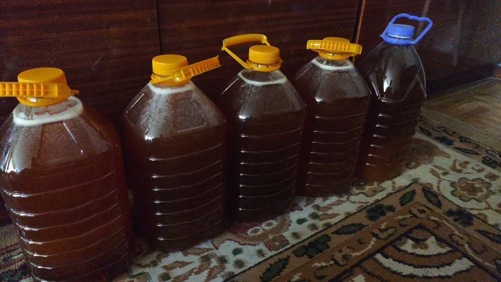 Продам горный мёд Лепсенский