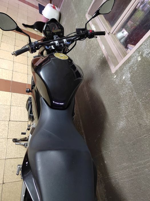 Honda Hornet 600