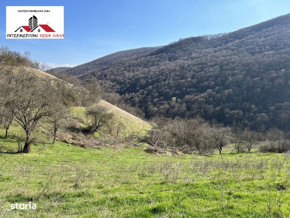 Teren intravilan - extravilan 9,3 Ha de vanzare Matacina Jud Alba
