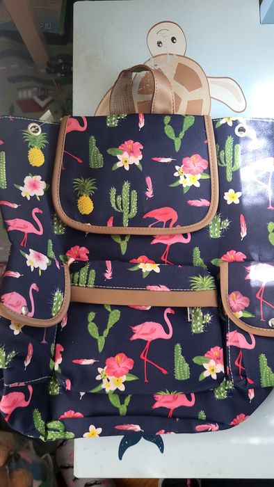 Нова голяма раница