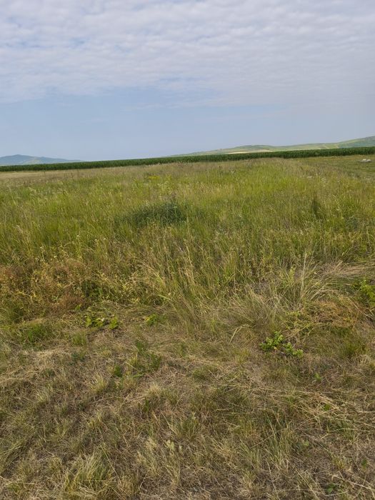 Vând loc de casă în Com. Tîrnova, Jud. Arad