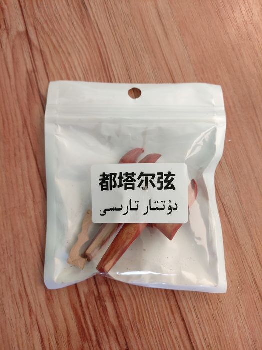 Инструмент Дутар