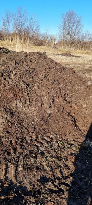 Gunoi de oaie mranita