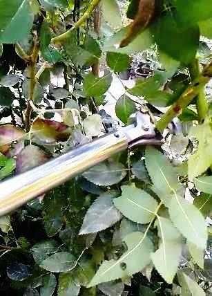 Секатор Высоторез механический .