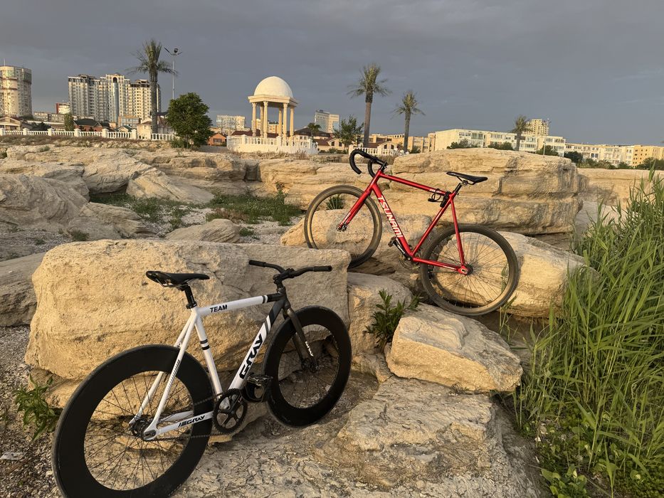 фикс fixed gear gray team