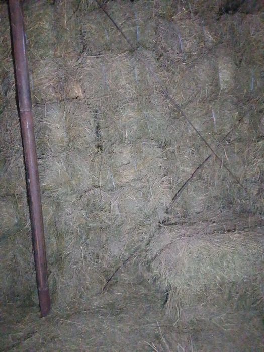 Baloti dreptunghiulari de otava și fîn !!!