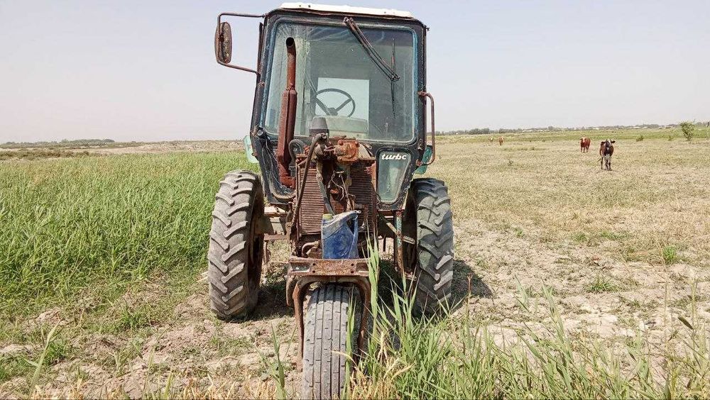 Трактор беларус уч гилдиракли