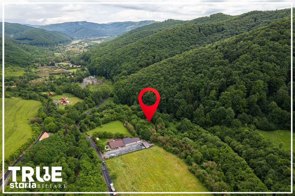 Teren intravilan 2.800 m² în Câmpu Cetății – liniște și natură