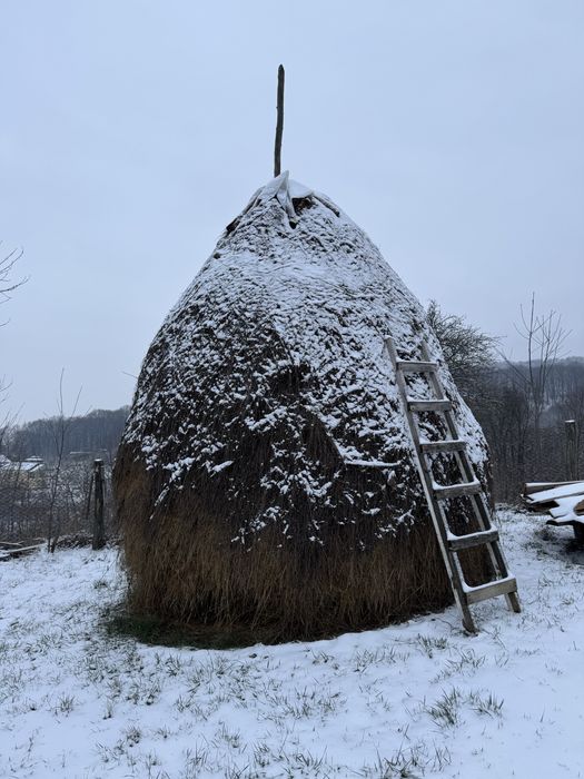Clăi de fân de vanzare