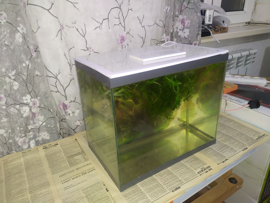 Аквариум 27л + бонусы и рыбки.
