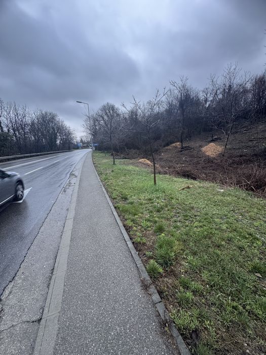 Schimb teren in Campina cu autoturism
